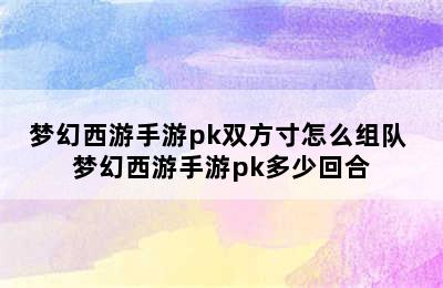 梦幻西游手游pk双方寸怎么组队 梦幻西游手游pk多少回合